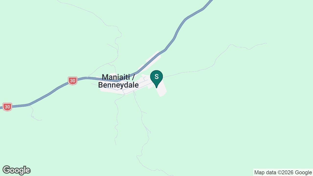 Benneydale School static school zone map