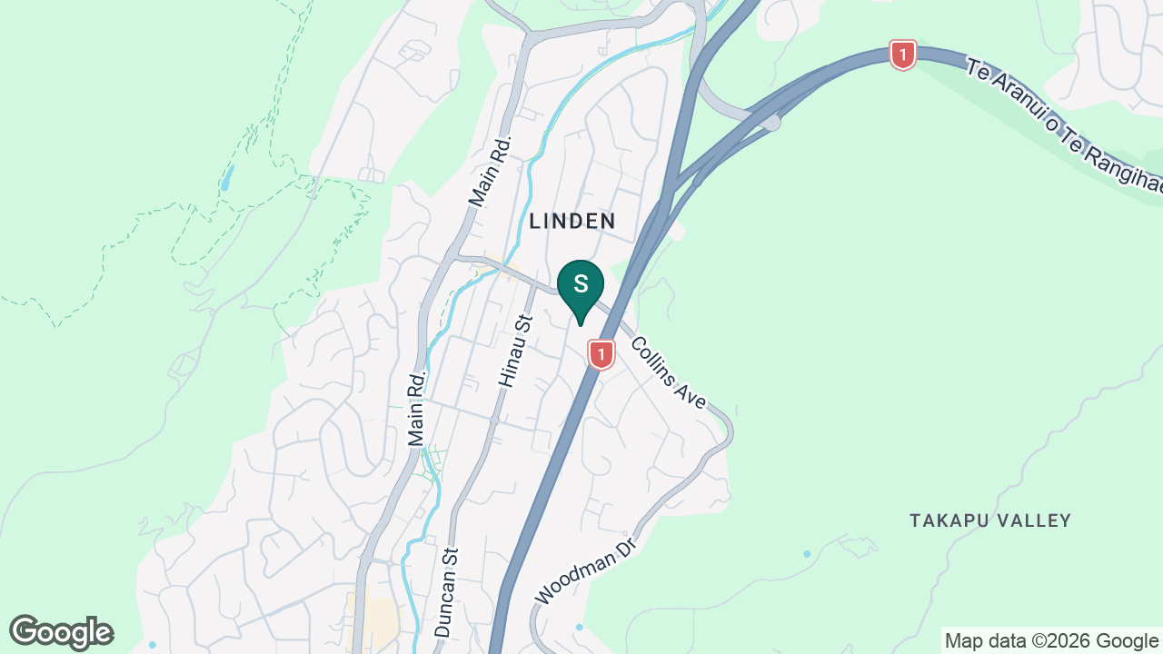 Linden School static school zone map