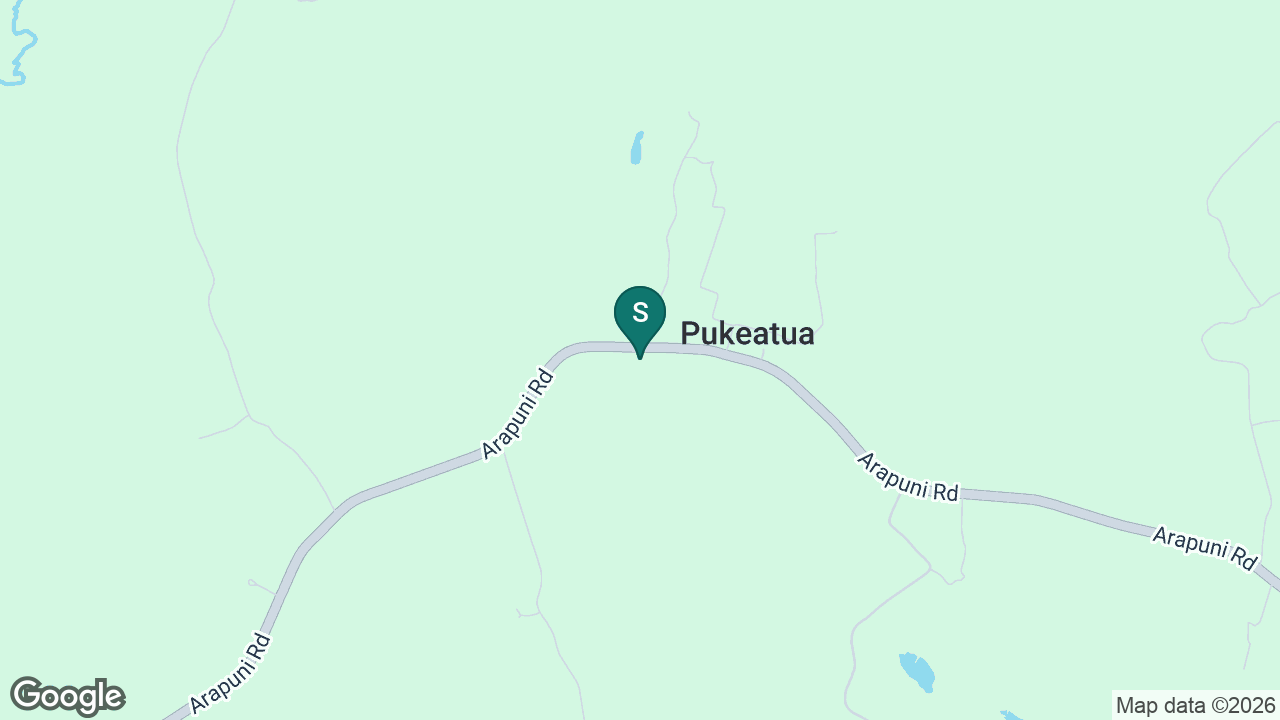 Pukeatua School static school zone map
