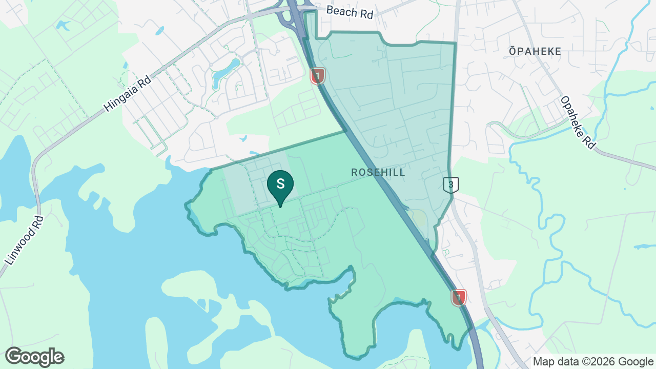 Mangapikopiko School static school zone map