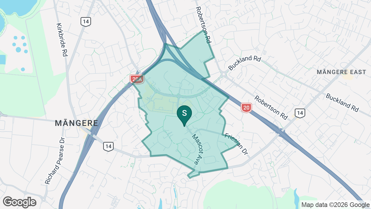 Nga Iwi School static school zone map