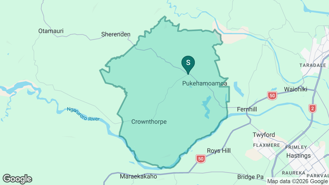 Pukehamoamoa School static school zone map