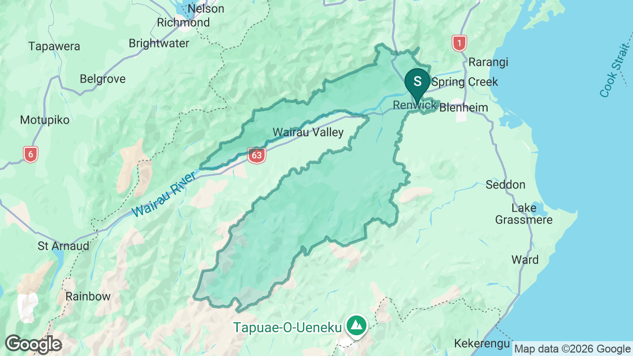 Renwick School static school zone map