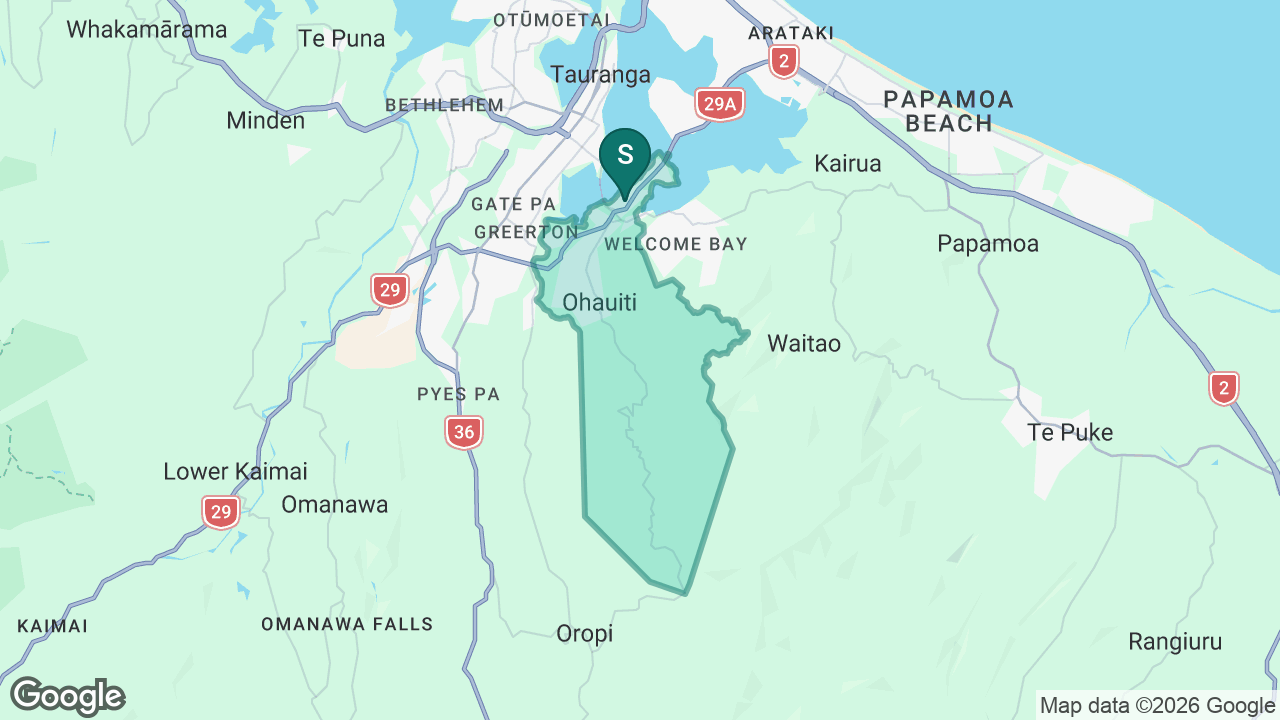 Maungatapu School static school zone map