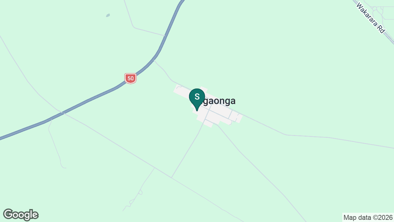 Ongaonga School static school zone map