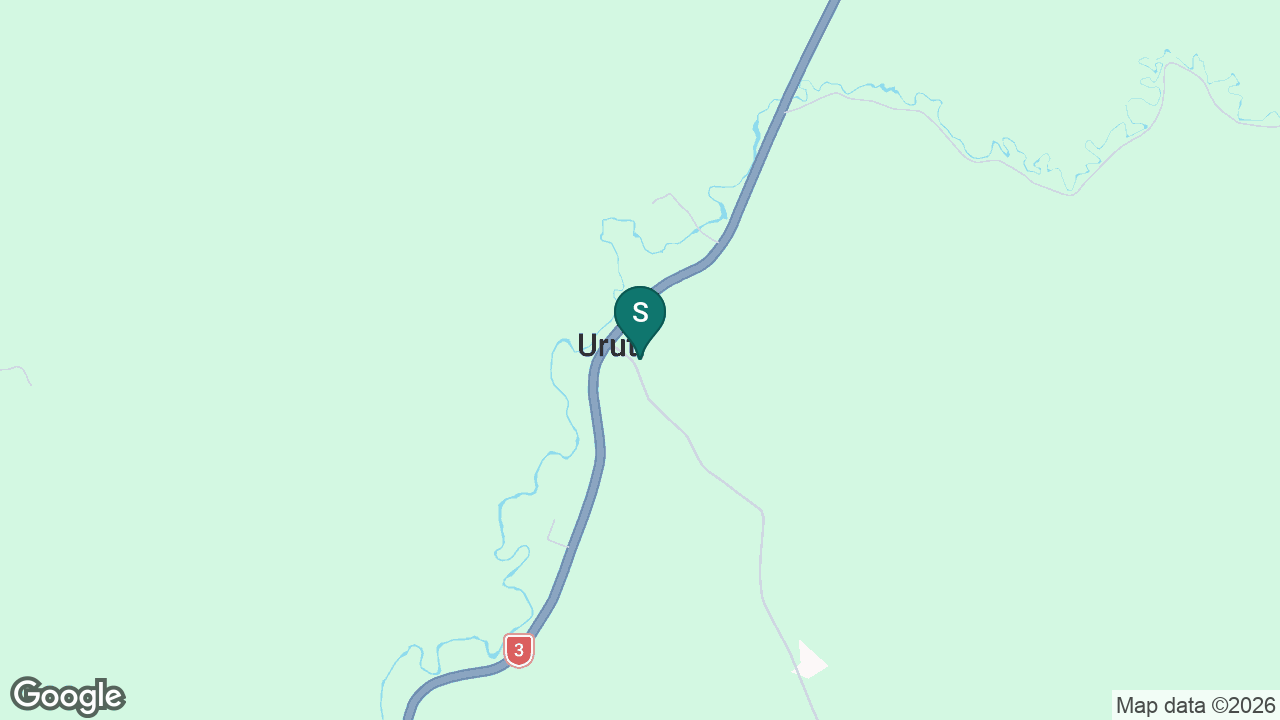 Uruti School static school zone map