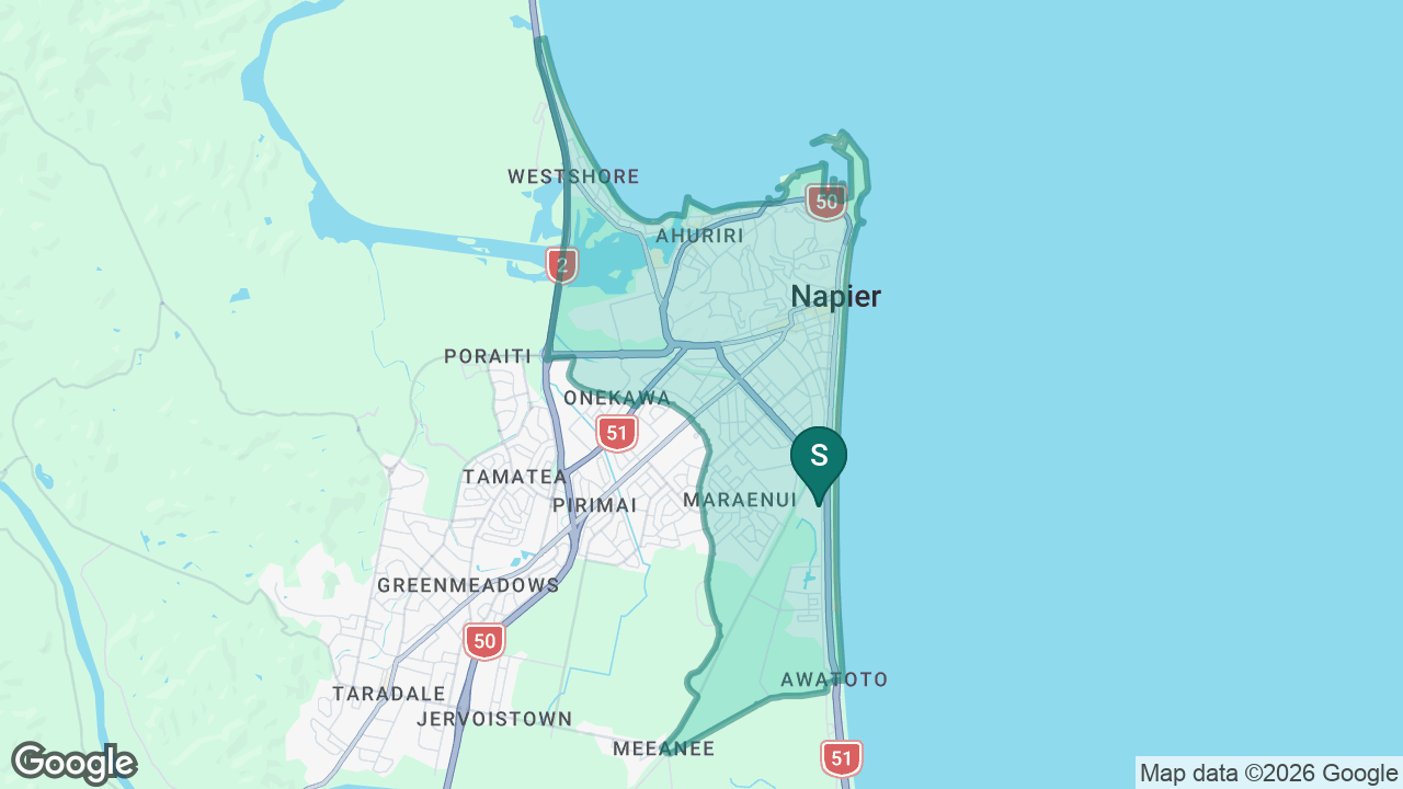 Napier Boys' High School static school zone map