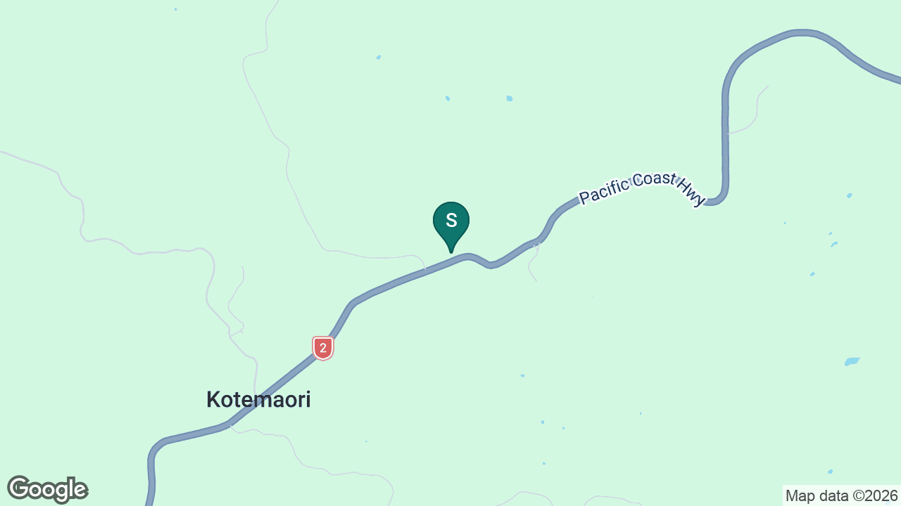 Kotemaori School static school zone map