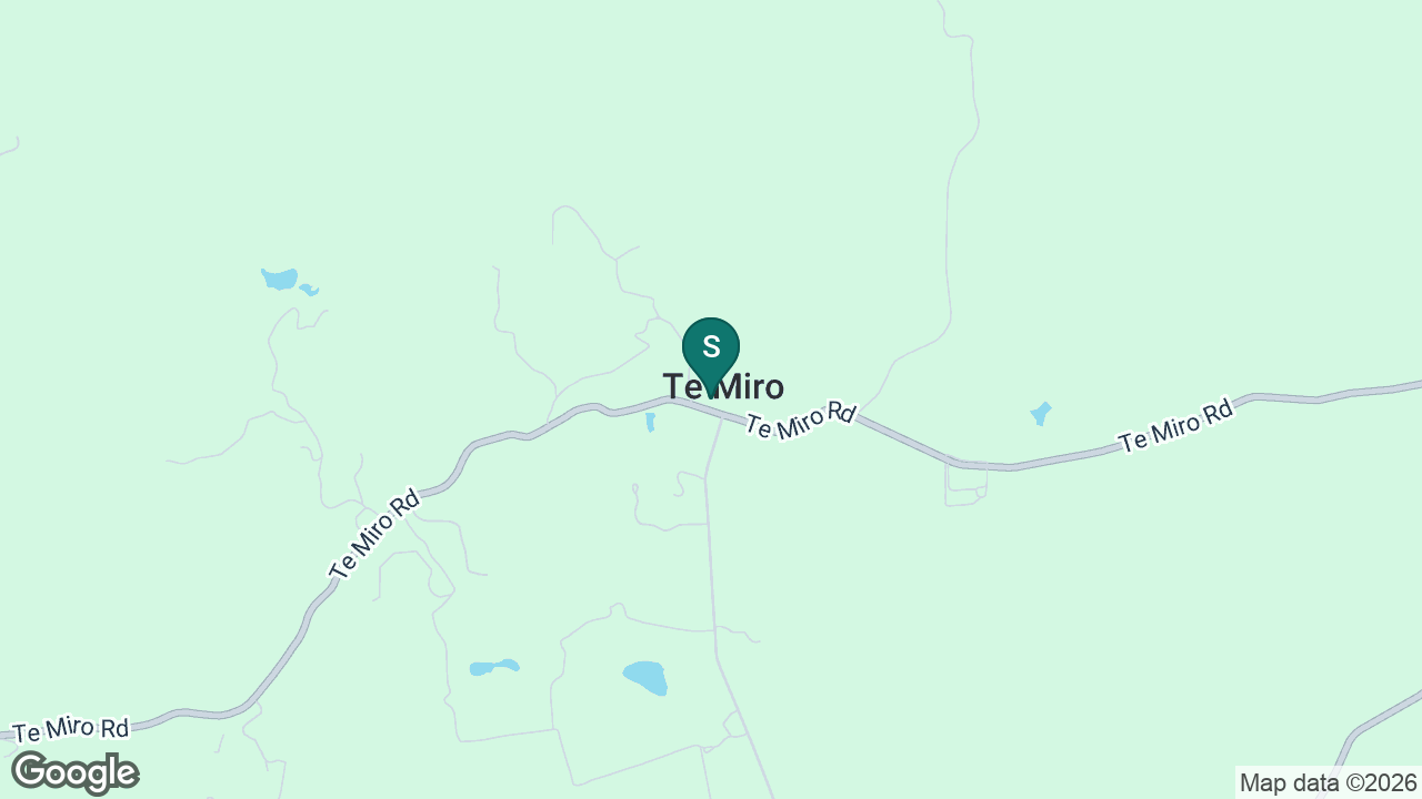 Te Miro School static school zone map