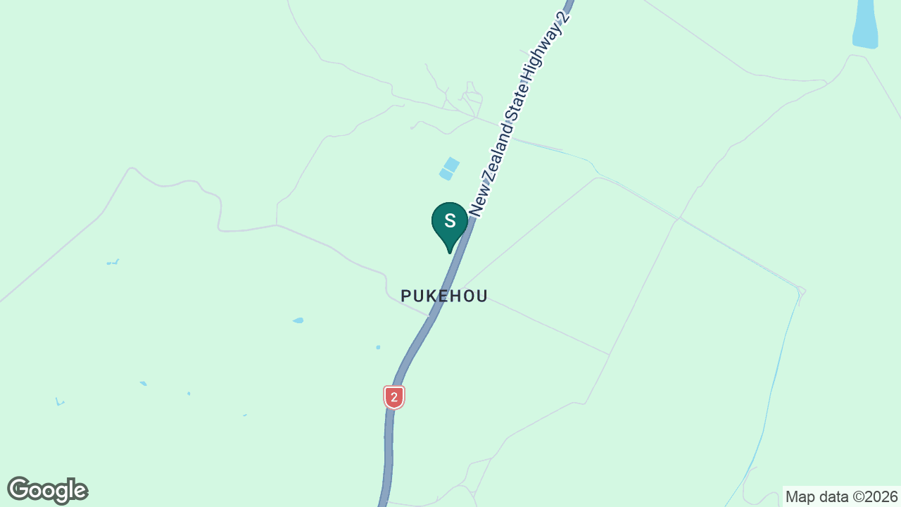 Pukehou School static school zone map