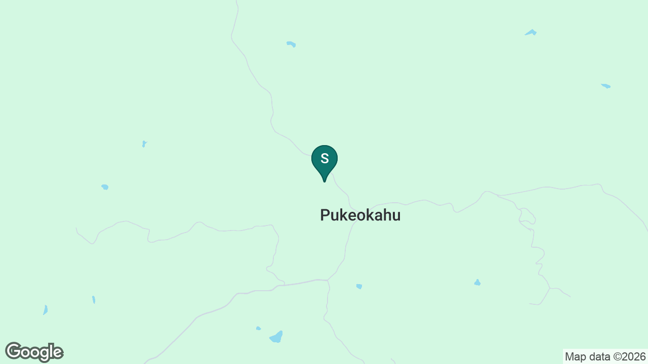 Pukeokahu School static school zone map