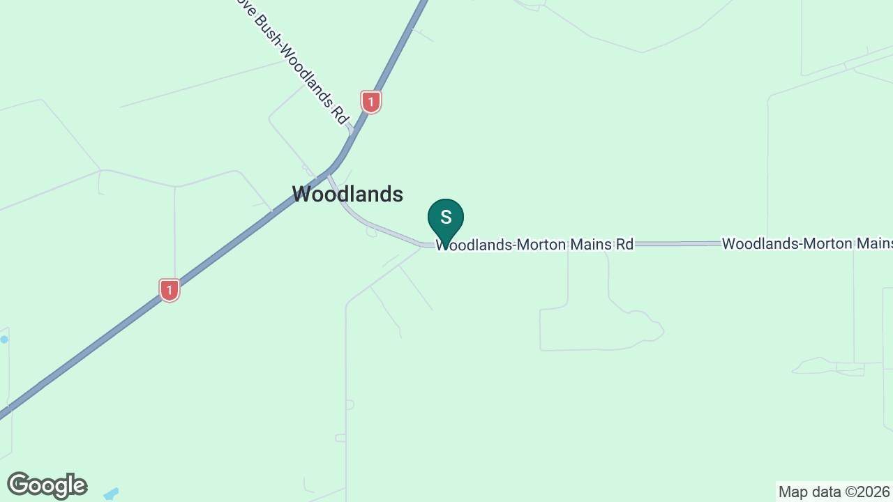 Woodlands Full Primary School static school zone map