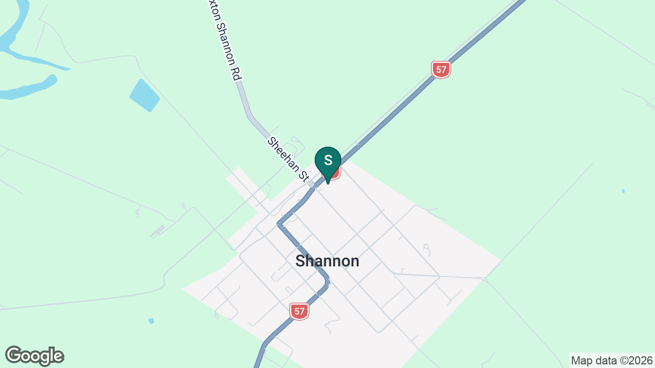 Shannon School static school zone map