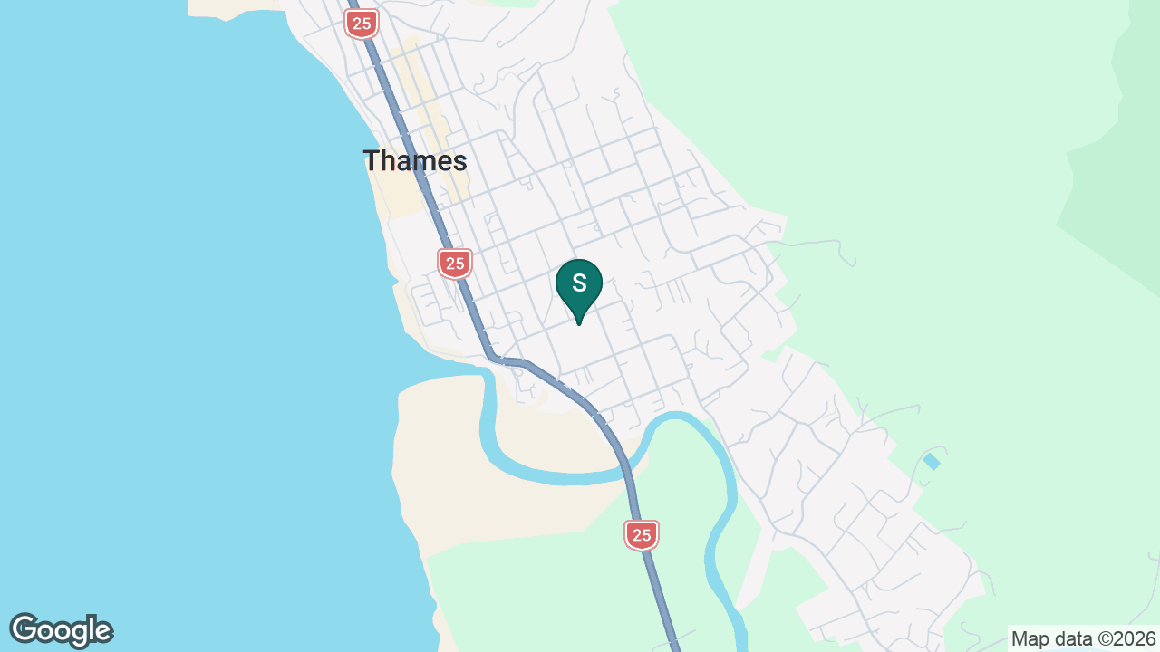 Thames South School static school zone map