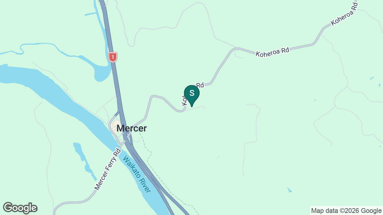 Te Paina School static school zone map