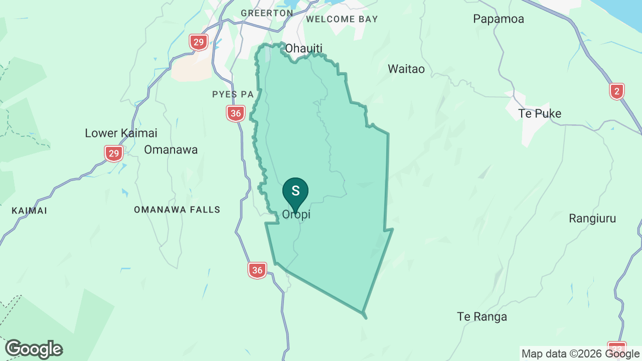 Oropi School static school zone map