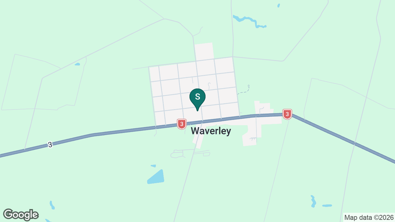 Waverley Primary School static school zone map