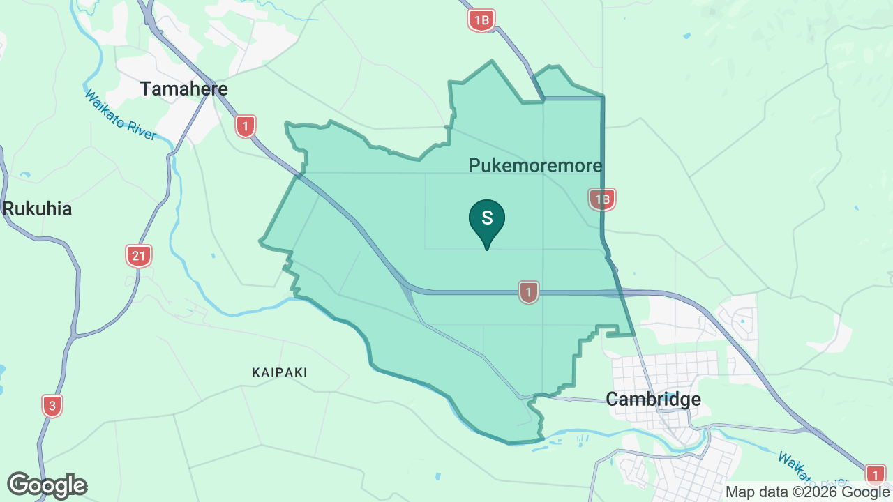 Hautapu School static school zone map