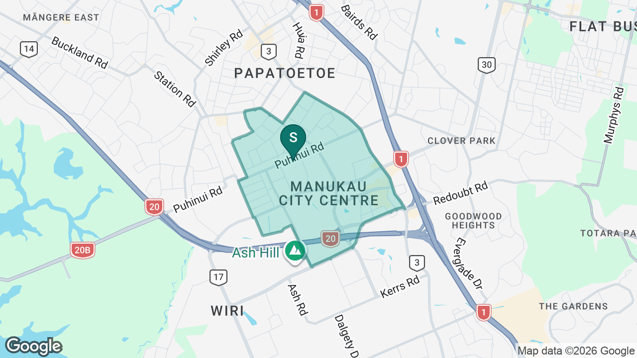 Puhinui School static school zone map