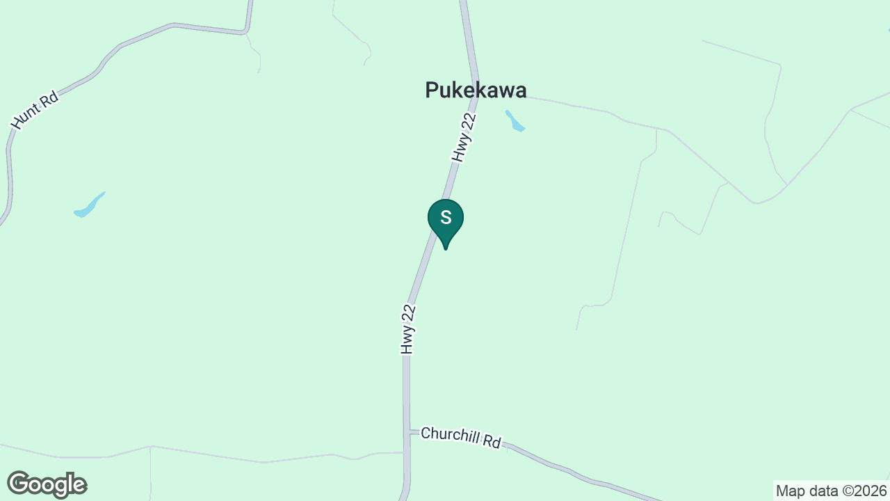 Pukekawa School static school zone map