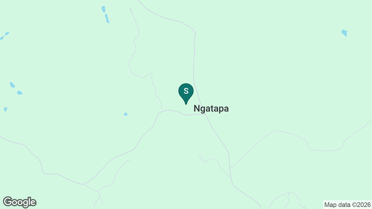 Ngatapa School static school zone map