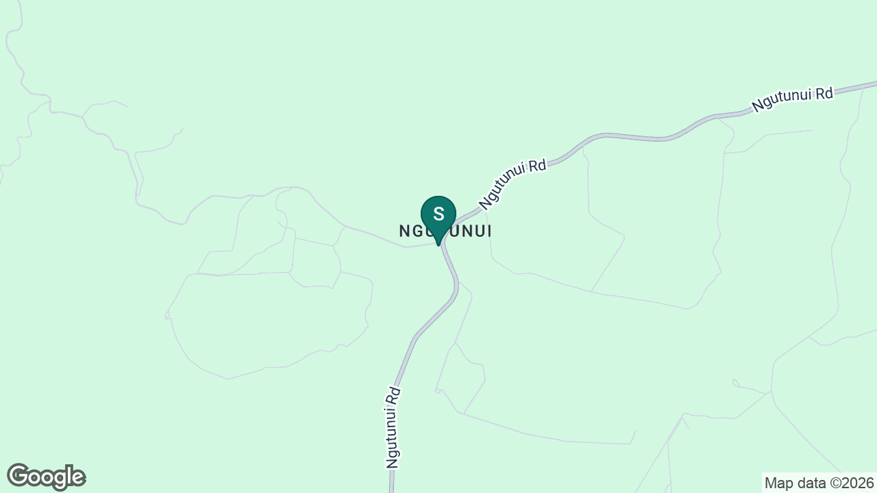 Ngutunui School static school zone map