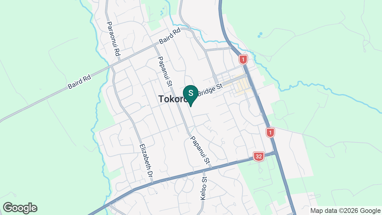Tokoroa Central School static school zone map