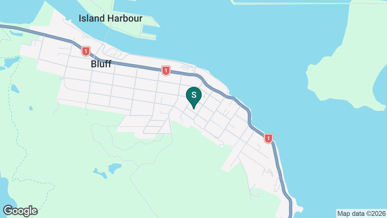 Bluff School static school zone map