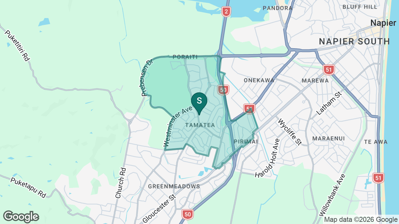 Tamatea School static school zone map