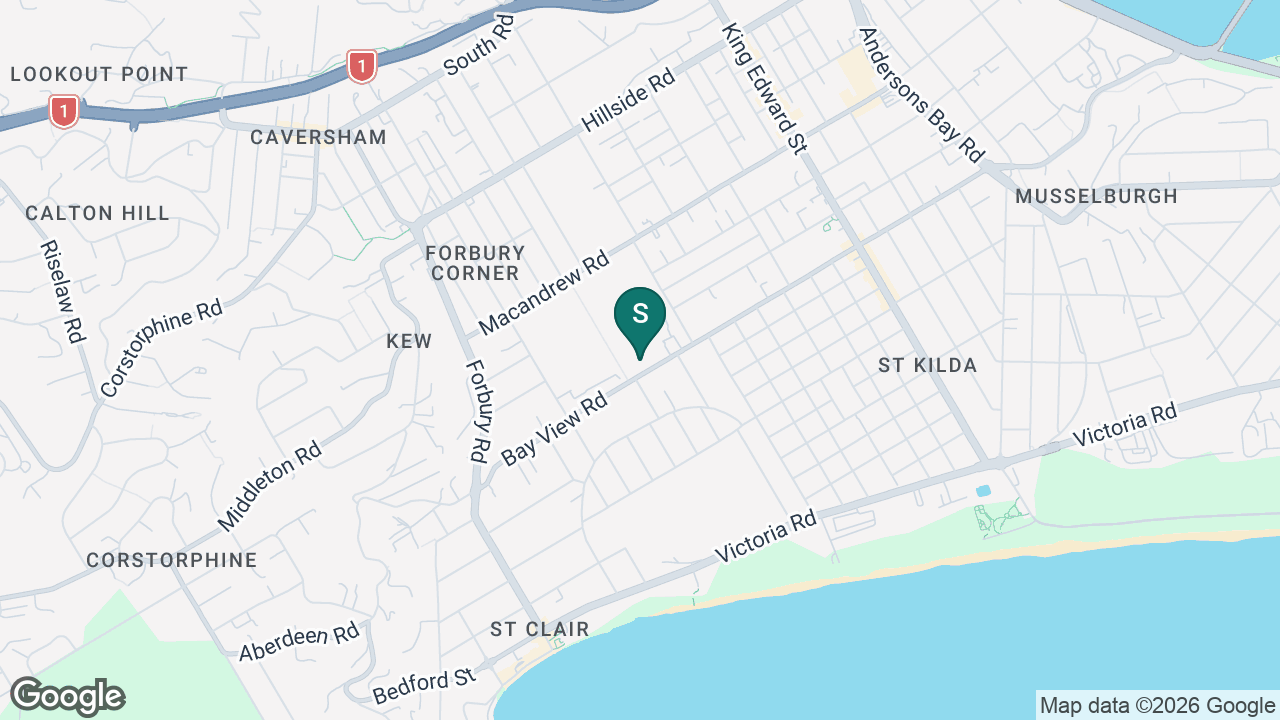 Kings High School (Dunedin) static school zone map