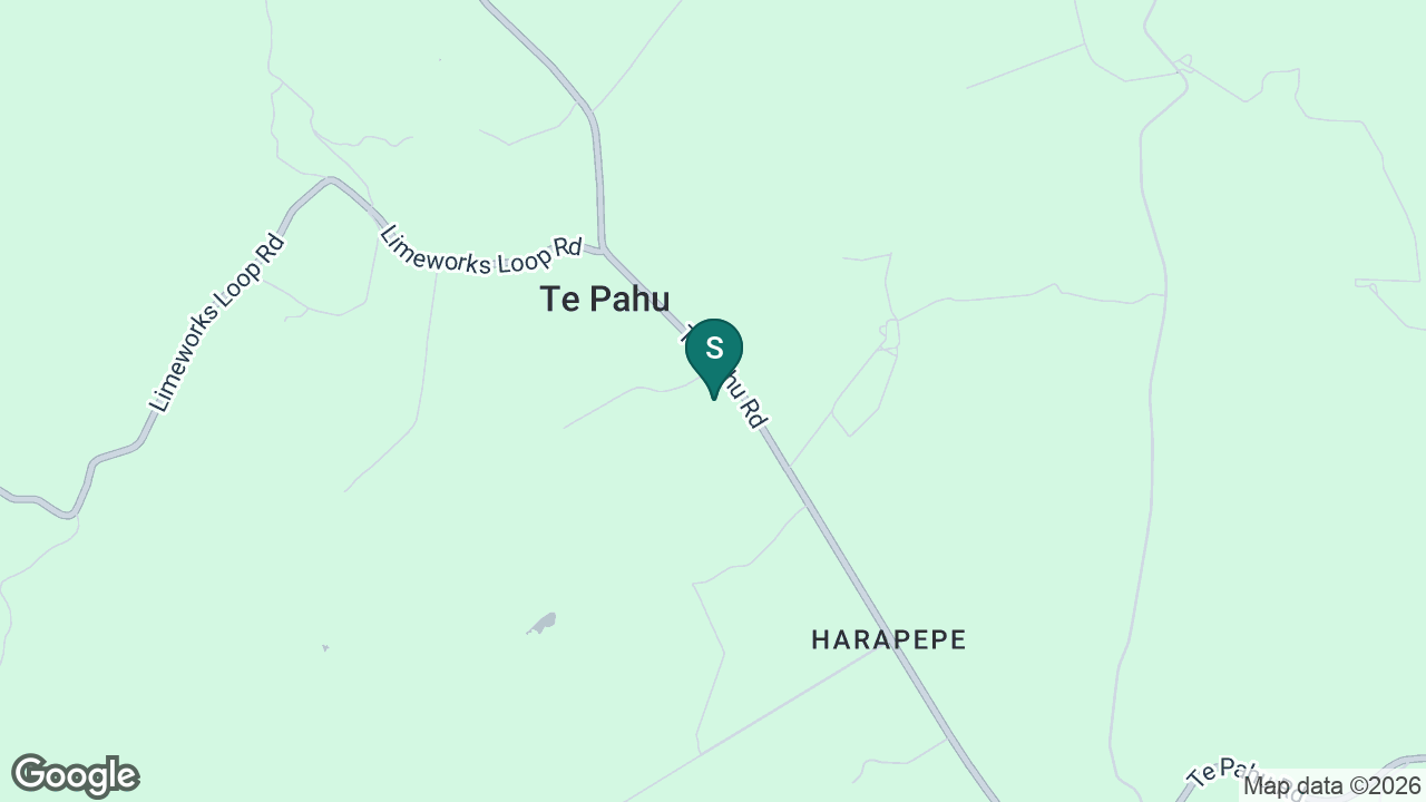 Te Pahu School static school zone map