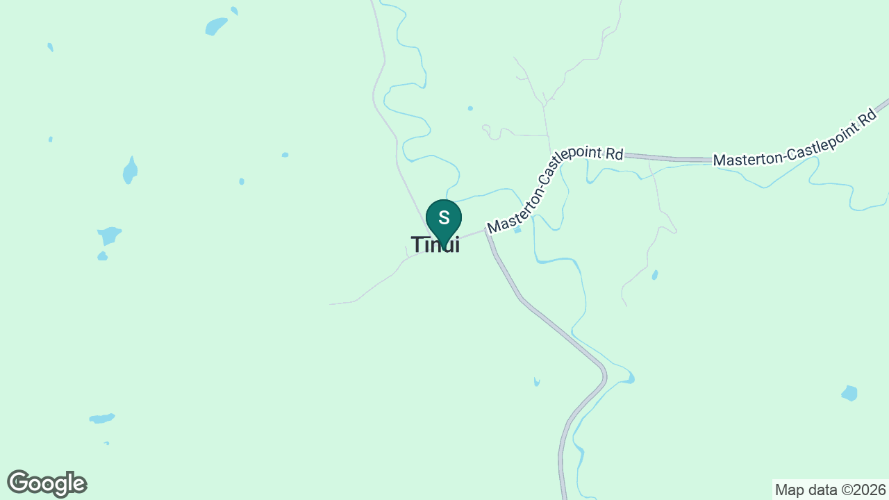 Tinui School static school zone map
